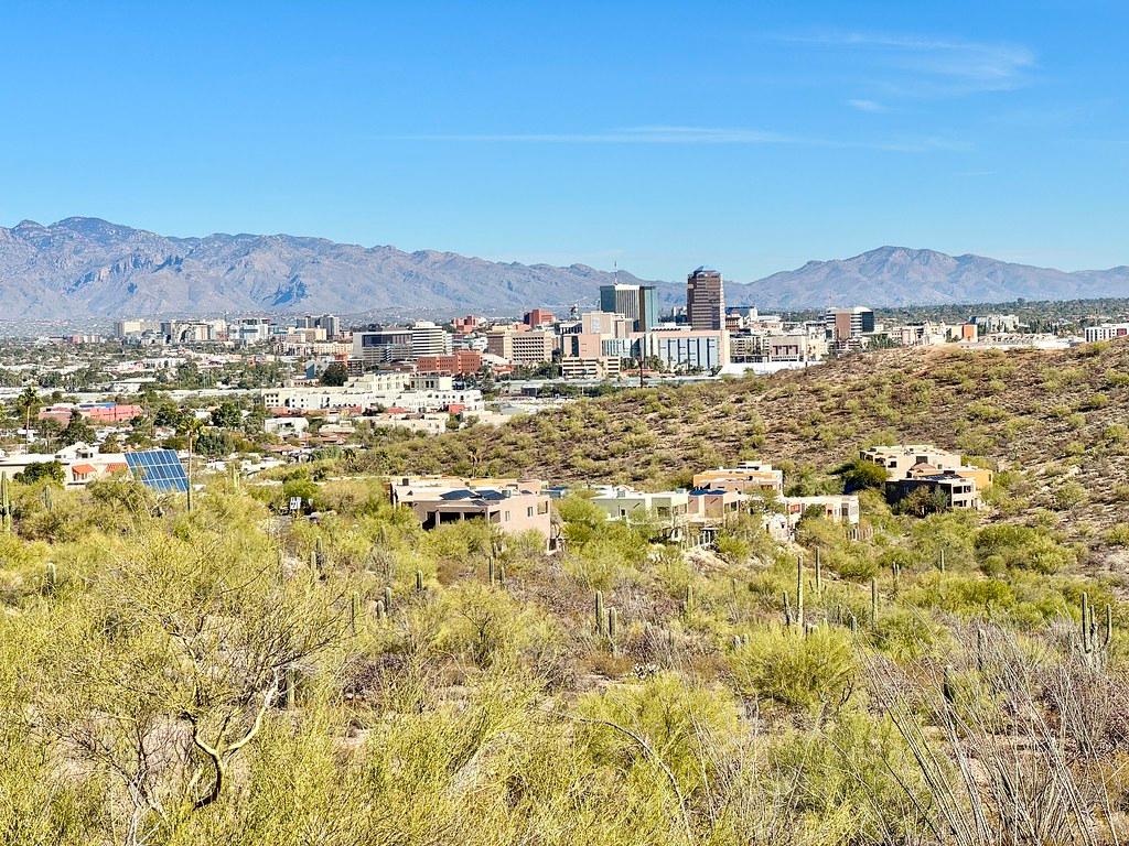 Phoenix Spring Auctions Draw Far Higher Volumes Than Winter Sales