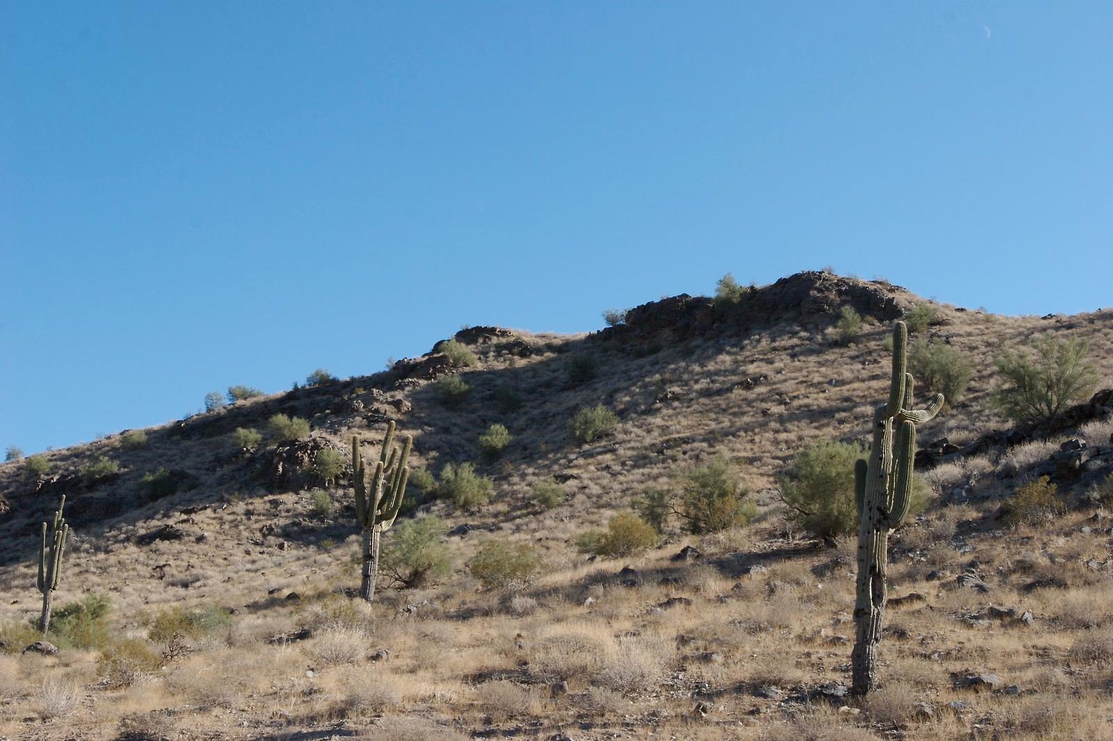 Phoenix Locals Guard 12 Secret Desert Trails Tourists Never Find