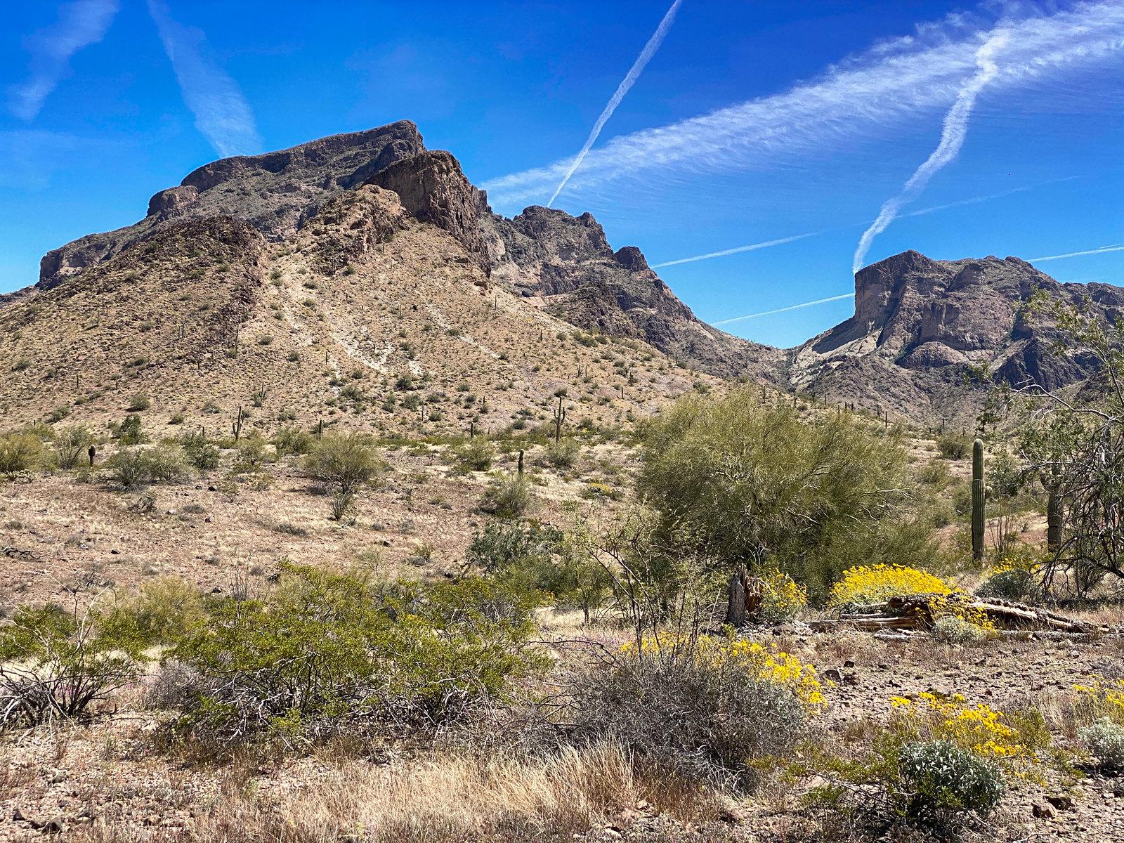 Phoenix Real Estate Market 2026: Prices and Trends